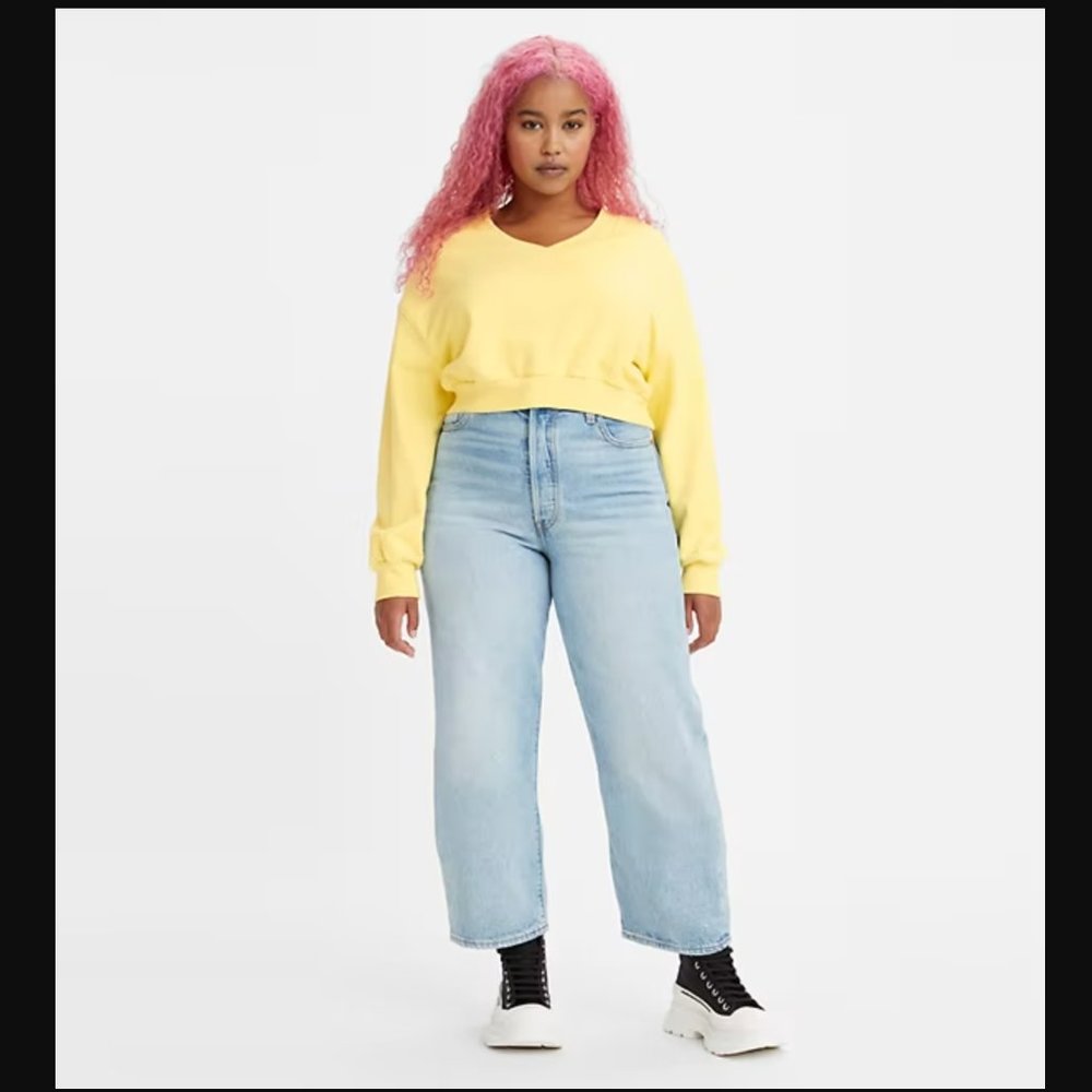 Levi's Premium Ribcage Straight Ankle Jeans in Bernal Middle Road 27x27